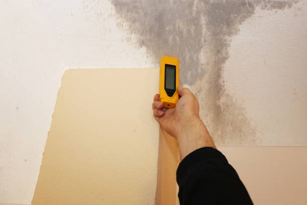 Best HVAC Mold Inspection and Cleaning  in River Bend, NC