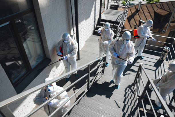 Best Black Mold Removal  in River Bend, NC