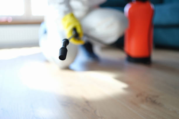 Mold Remediation for Rental Properties in River Bend, NC