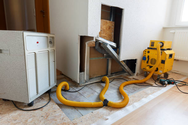 River Bend, NC Mold Removal Company