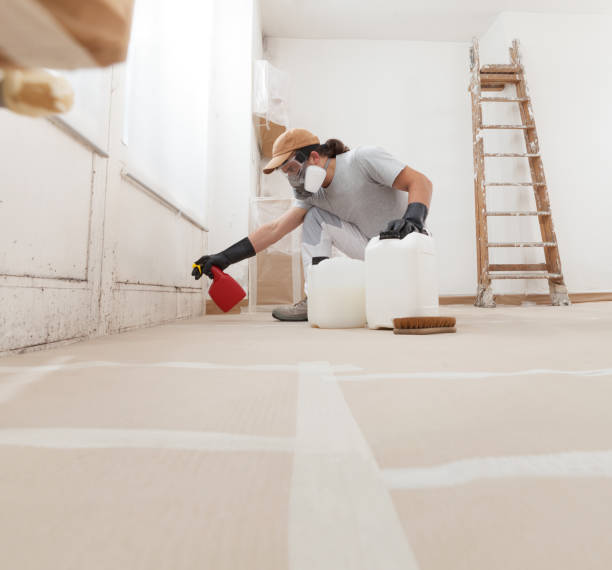 Best Crawl Space Mold Remediation  in River Bend, NC